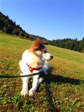 いいとこ発見