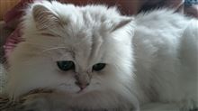 う～ん、どうしたものか～