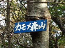 157座 カモメ森山(釜石)325m