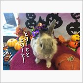 ハロウィン撮影会
