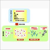 こんなバイオ薬品は使いたくな ...