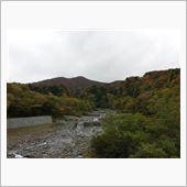 紅葉偵察！
