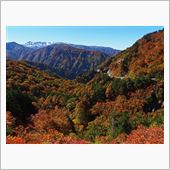 白山スーパー林道その２　
