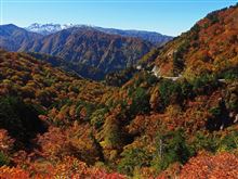 白山スーパー林道その２　