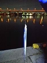 大阪湾…