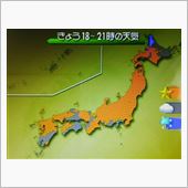 ネコは日向ぼっこ場所替え