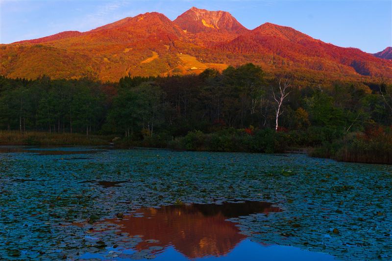 妙高 いもり池 笹ヶ峰牧場の紅葉 Naomichi31のブログ Naomichiのぺーじ みんカラ