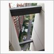 全身痒いんです・・・　in　中国