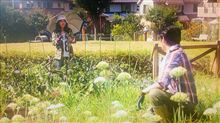 またドラマ撮影やってた（＾＾