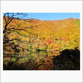 紅葉狩り　奈良俣ダム