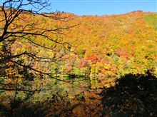紅葉狩り　奈良俣ダム