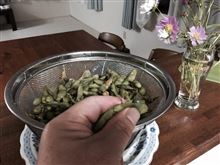 黒豆枝豆