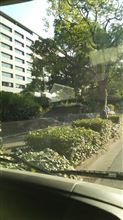 県庁→空港 県庁→空港