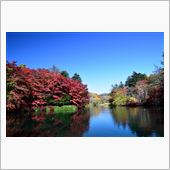 2014軽井沢雲場池紅葉から ...