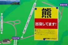 秋の水上へ　その２（天神平編） 