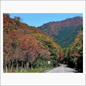 紅葉狩り＠大山