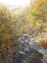 群馬県、紅葉グルメドライブ ②
