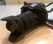 Nikon派からCanon派へ