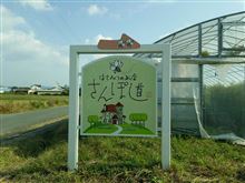 久しぶりにお出かけ 久しぶりにお出かけ