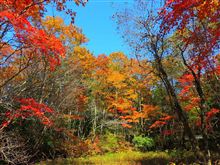 【行くぜ】　県境を散策　【東北】