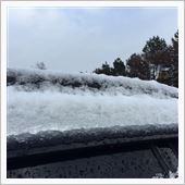 初雪2014…