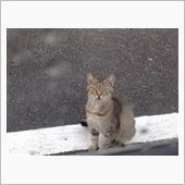 2014年10月27日  日 ...