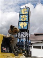 LEJM　2014　秋！（エボミ）に参戦!!　ｳﾝ♪(・∀・｀○)