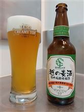 梅酵母な麦酒！