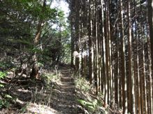 お山は冷えますね！