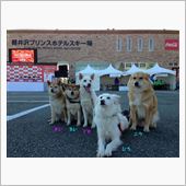 軽井沢リゾートマラソン201 ...