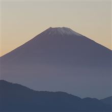 夕箱パトロール