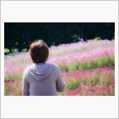 2014.10.19　ひたち ...