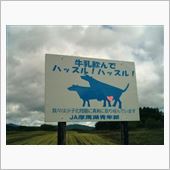 見せてもらおう、その実力とや ...