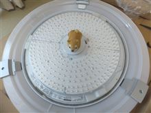 これで明るく光るって不思議…