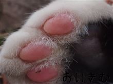 キャブレターの補修。。。(&#180;･ω･｀)