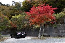 R35でもみじ狩り
