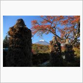 パノラマ台～忍野富士と１０月 ...