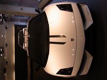 限定バージョン　ロゴ　その２／ガヤルド　Performante　