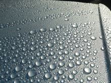 霧が消えてから洗車　VW-244(38)　・・・o(▼_▼θ