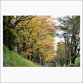 2014上田城紅葉祭だぁ！