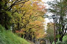 2014上田城紅葉祭だぁ！
