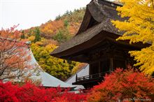 紅葉寺　霊松寺