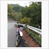 濡れ落ち葉と紅葉狩り