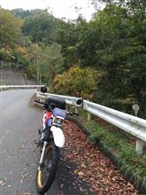 濡れ落ち葉と紅葉狩り