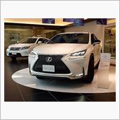 LEXUS NX試乗