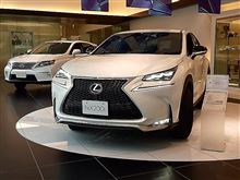 LEXUS NX試乗