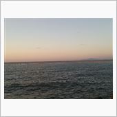 海の竹林（＾＾