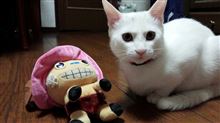 受領終了…(^^♪