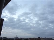 １１月６日　曇り空な木曜日、おはよ～♪