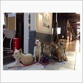 南魚沼コシヒカリRUNin石 ...